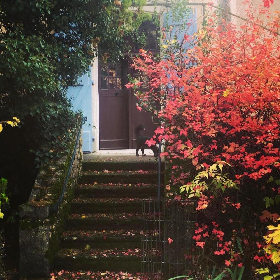 Castelfranc Le 7 Des Tonneliers Bed & Breakfast エクステリア 写真