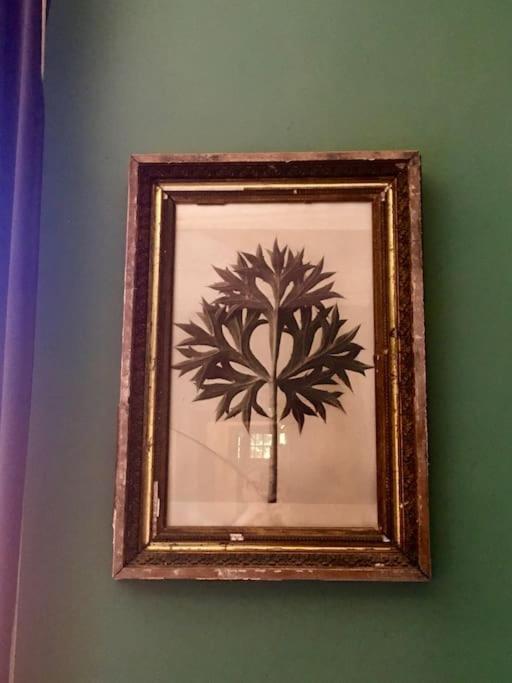 Castelfranc Le 7 Des Tonneliers Bed & Breakfast エクステリア 写真